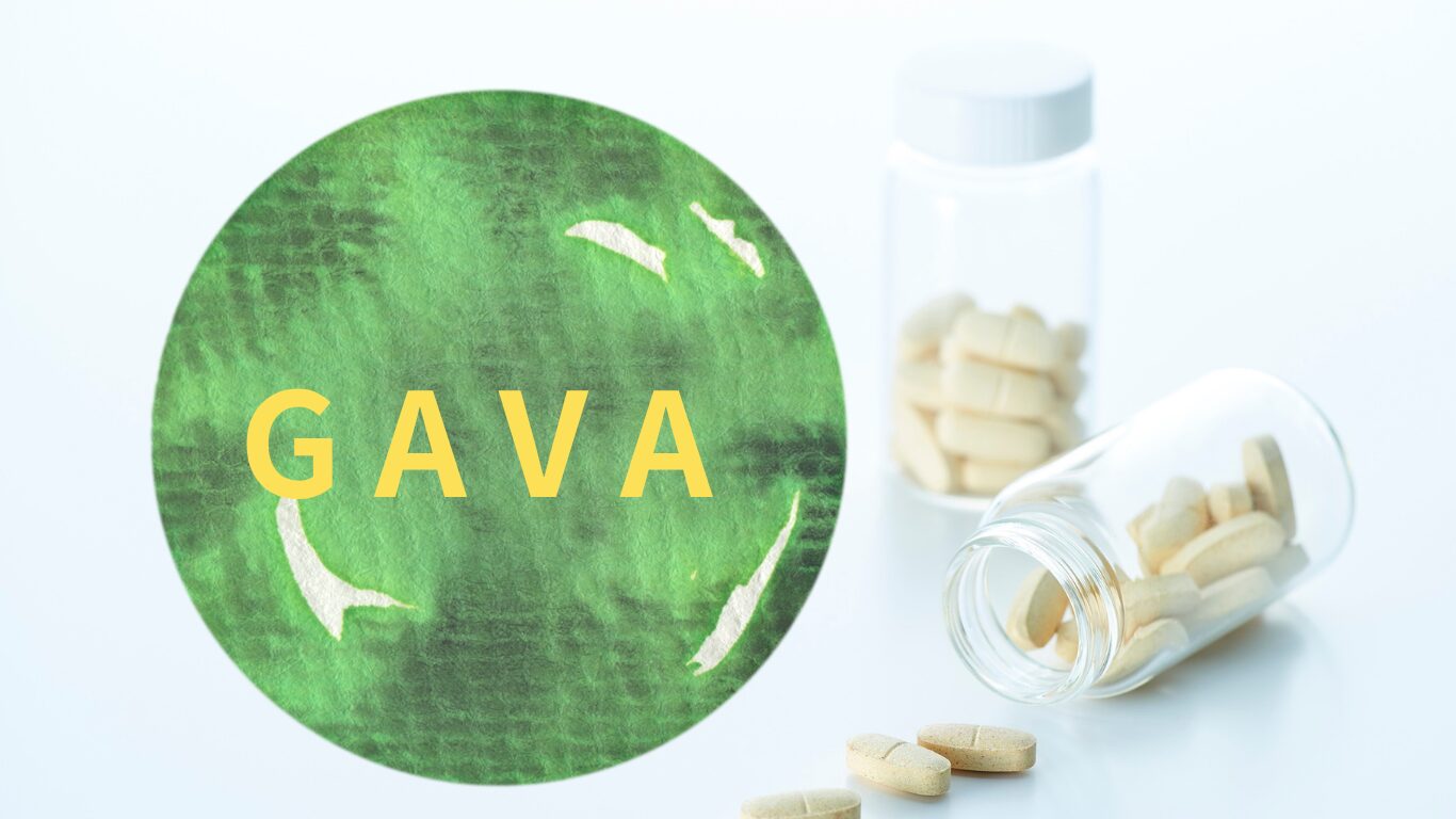 サプリメントGAVA
